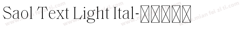 Saol Text Light Ital字体转换